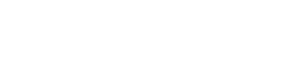 The Car Company